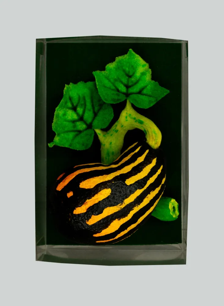 Multiplo Gilardi - Zucchetta