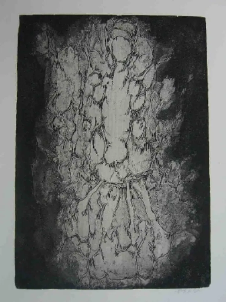 Acquaforte Gillet - Nymphe des rats