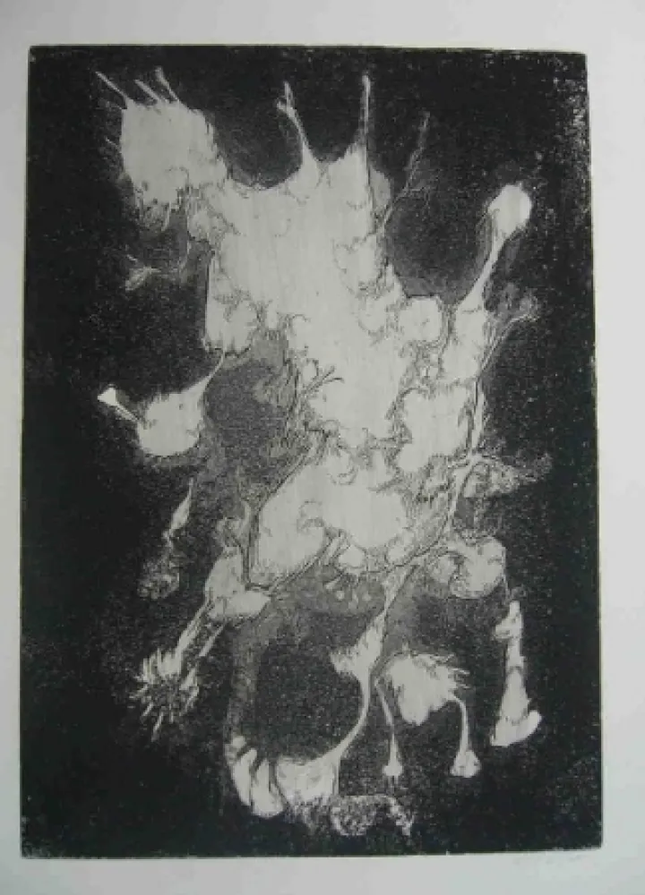 Acquaforte Gillet - Nymphe des rats