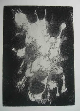 Acquaforte Gillet - Nymphe des rats