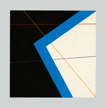 Non Tecnico Giorgi - Composizione