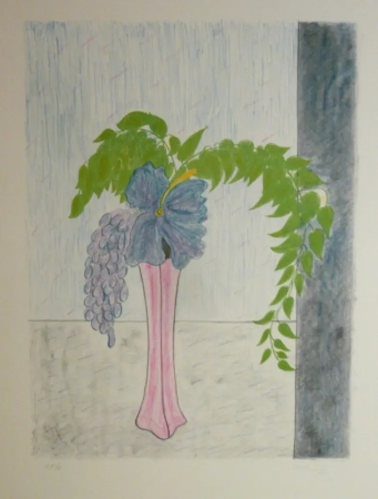 Litografia Girona - GERRO ROSAT GLICINA