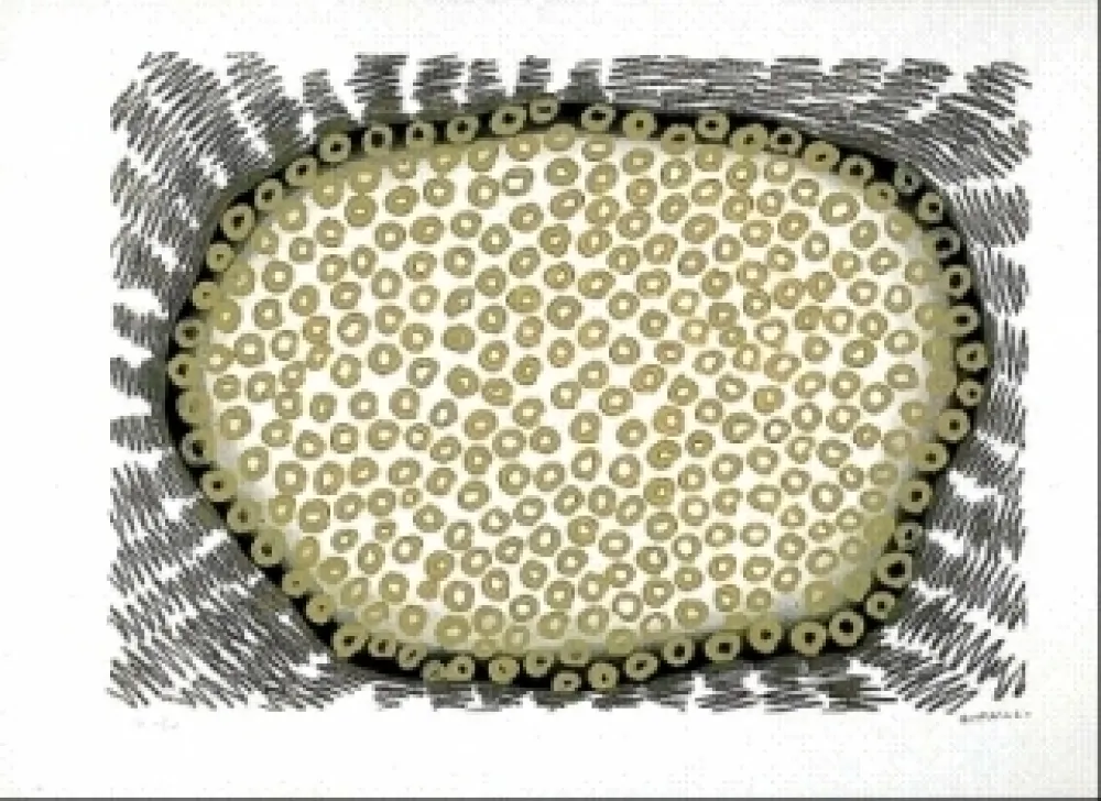 Litografia Gordillo - Sans titre