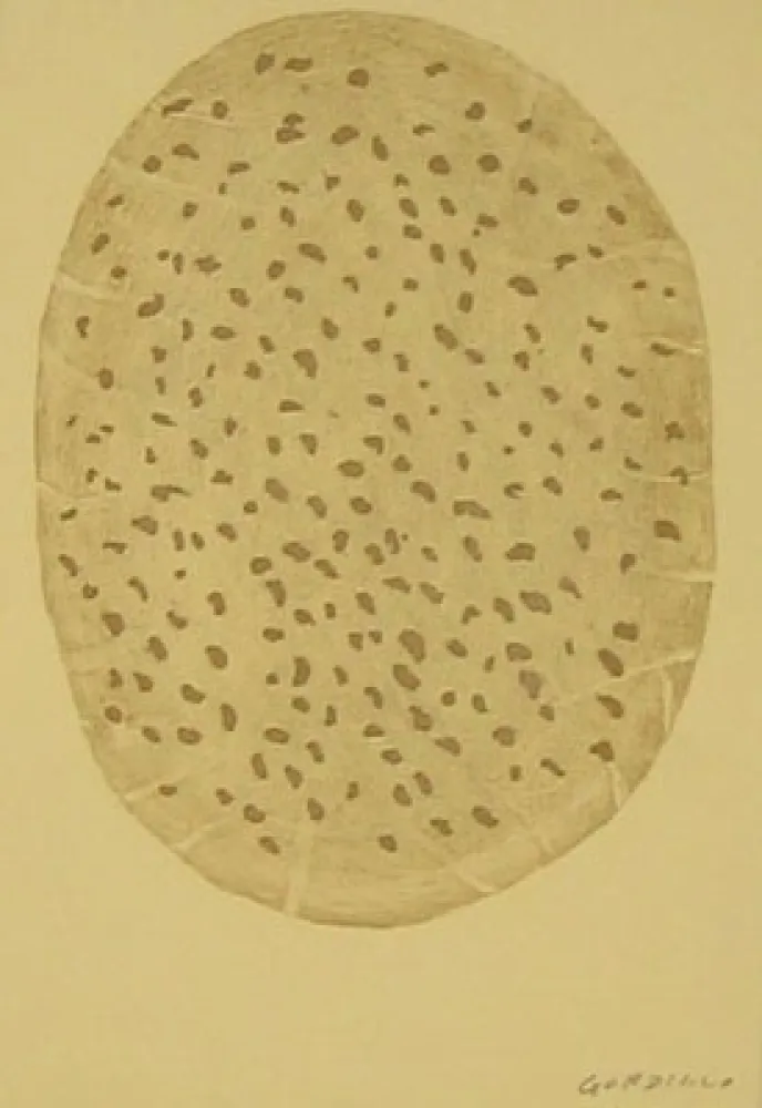 Acquaforte Gordillo - S/T