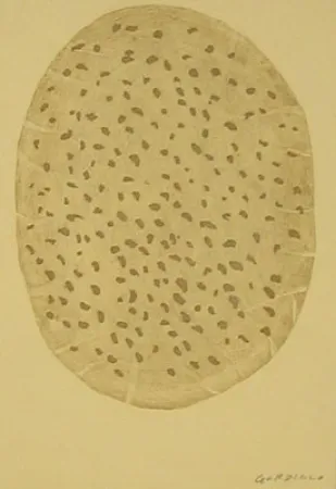 Acquaforte Gordillo - S/T