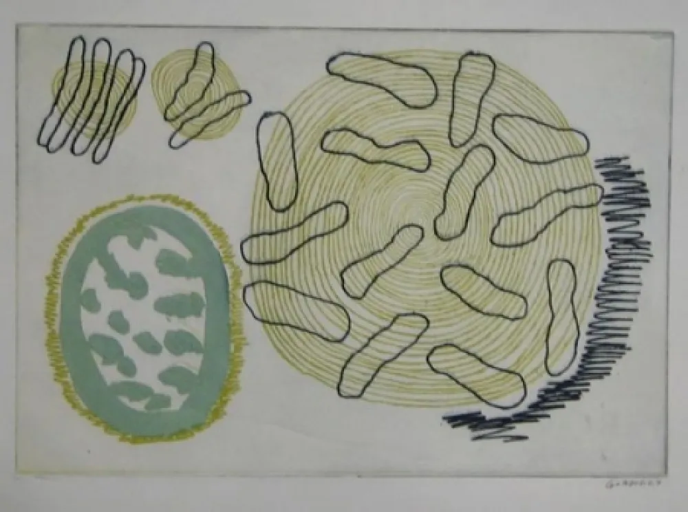 Acquaforte Gordillo - S/T