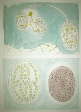 Acquaforte Gordillo - S/T