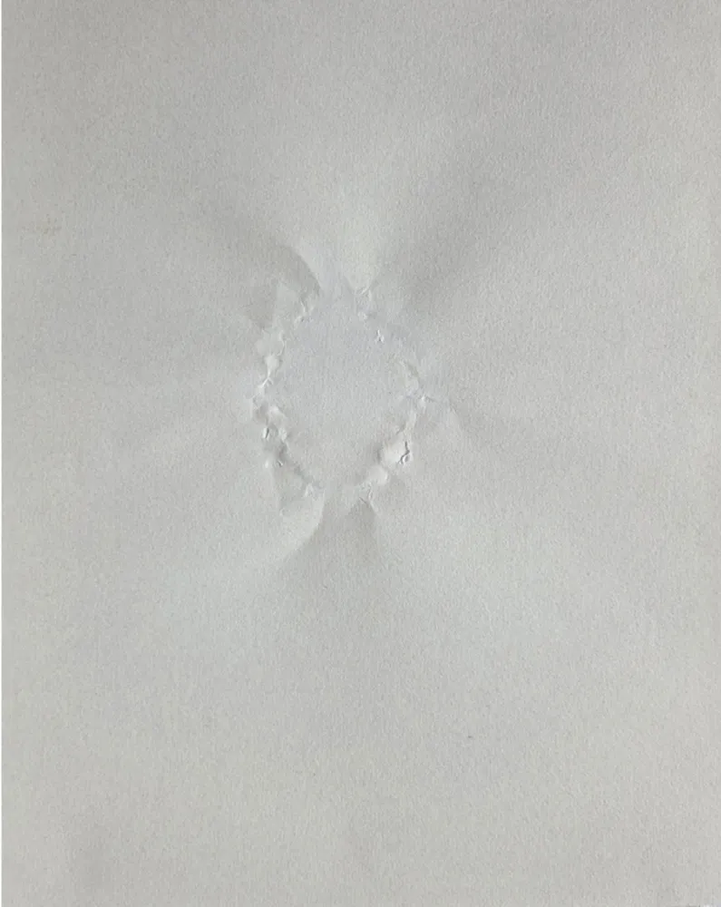 Multiplo Gordon - Signature
