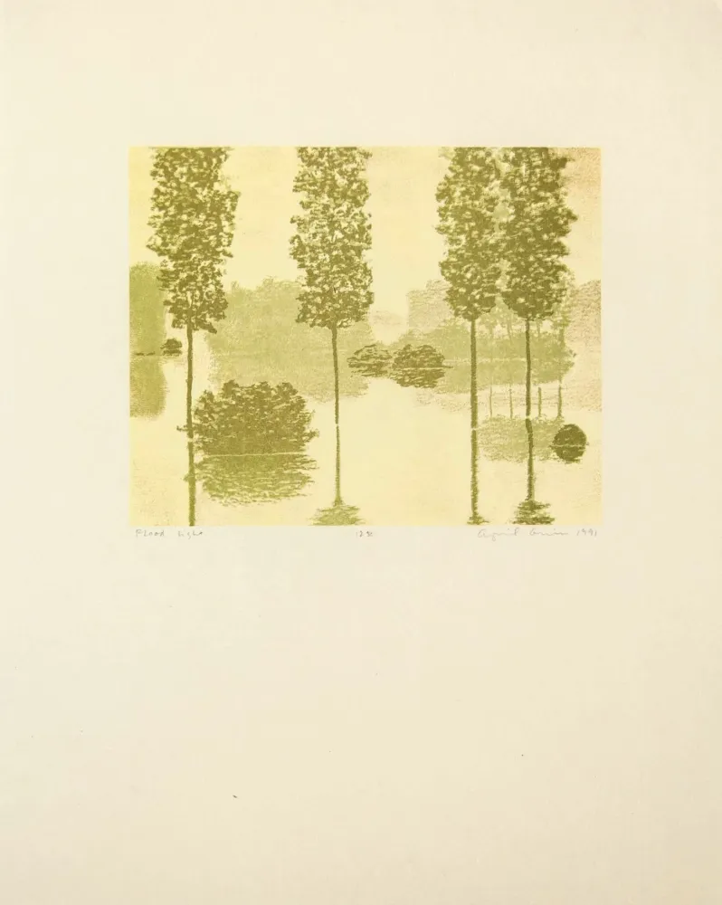 Rilievo Gornick - Flood Light, from Art Pro-Choice II