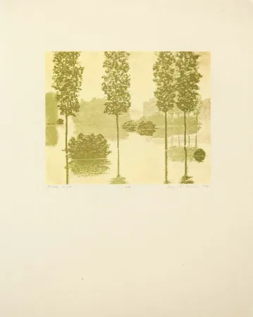 Rilievo Gornick - Flood Light, from Art Pro-Choice II