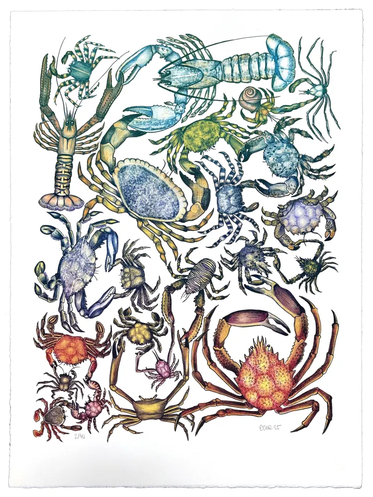 Litografia Gosset - Prise de Pince 