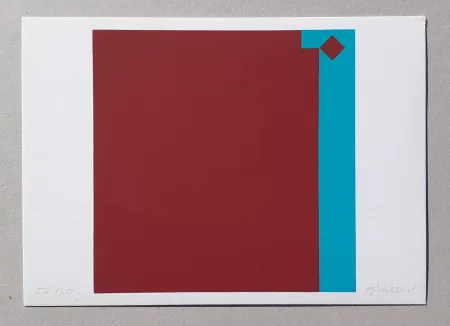 Serigrafia Graeser - Caput Mortuum - Violett Grun 7:1