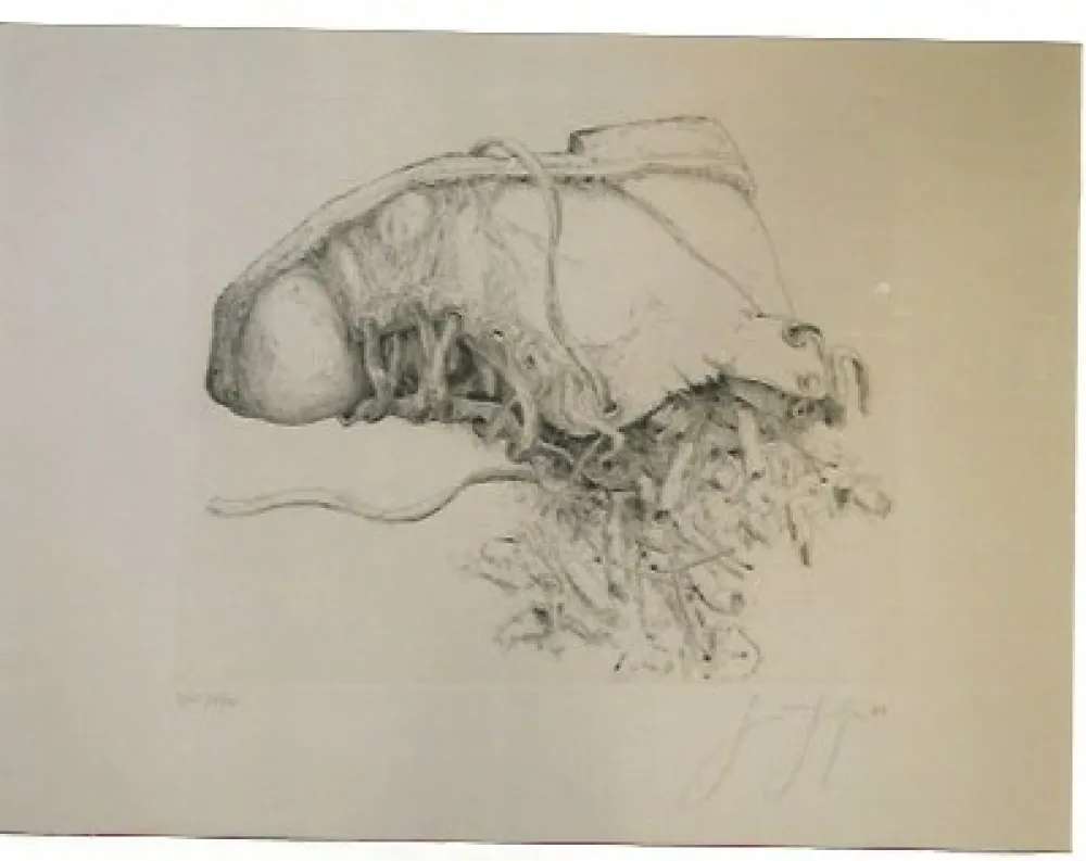 Incisione Grass - Kippen and Schun