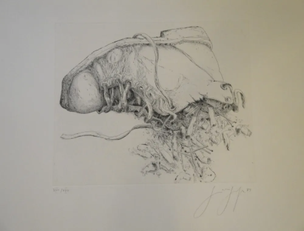 Incisione Grass - (Kippen und Schuh)