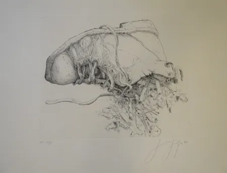 Incisione Grass - (Kippen und Schuh)