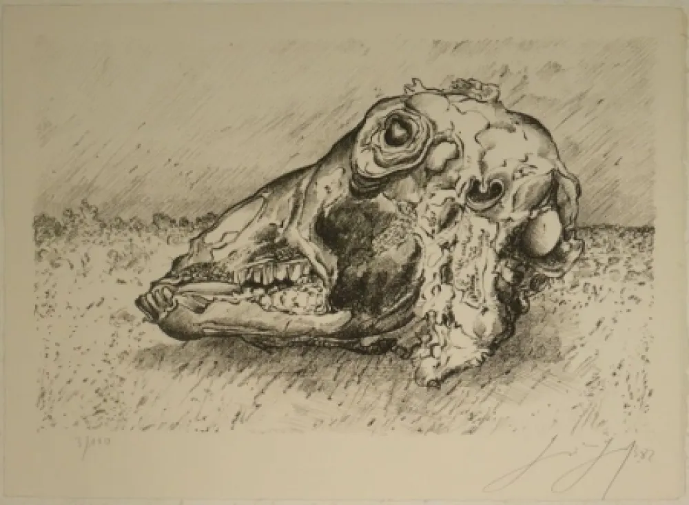 Litografia Grass - Schafskopf.