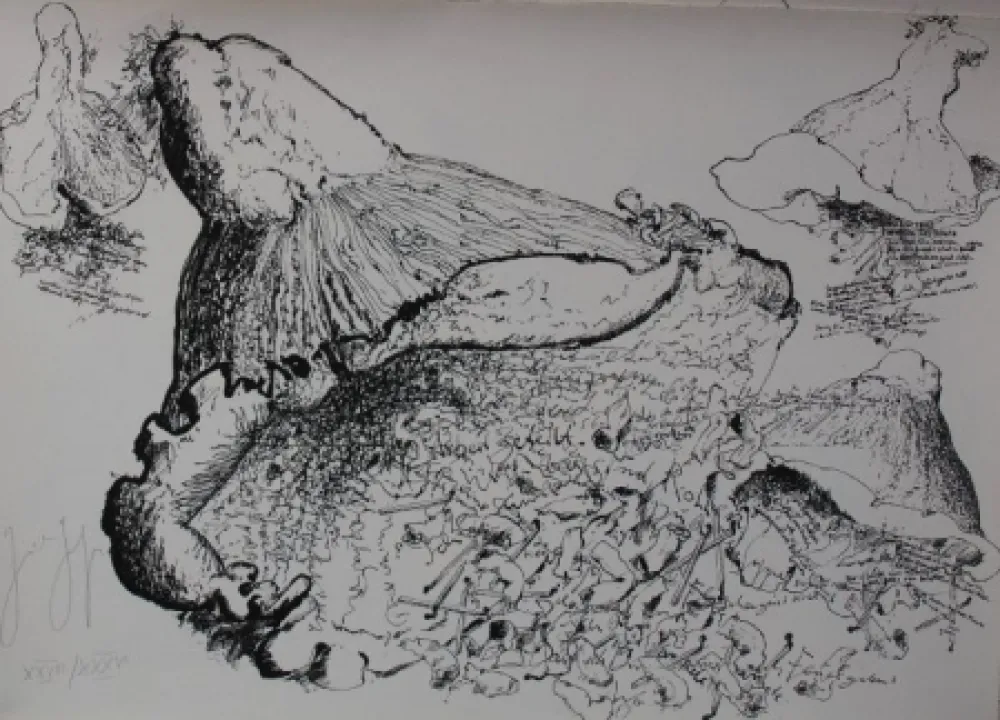 Litografia Grass - Senza titolo