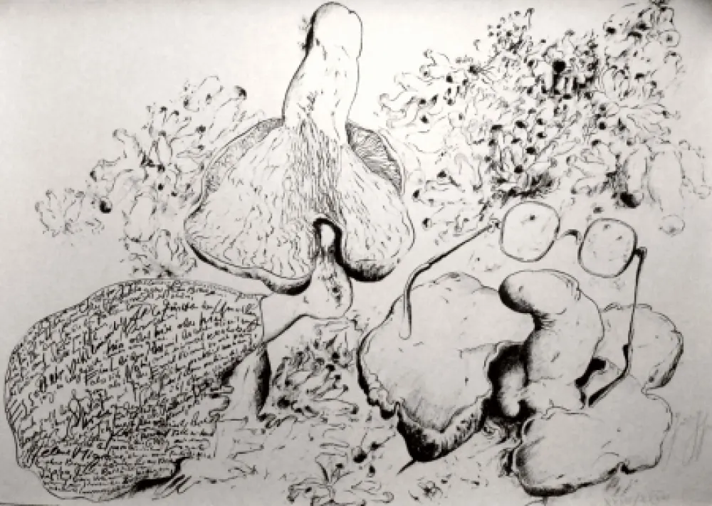 Litografia Grass - Senza titolo