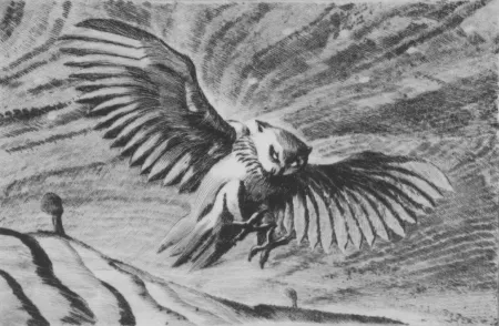 Punta Secca Grasselli - Verso la notte