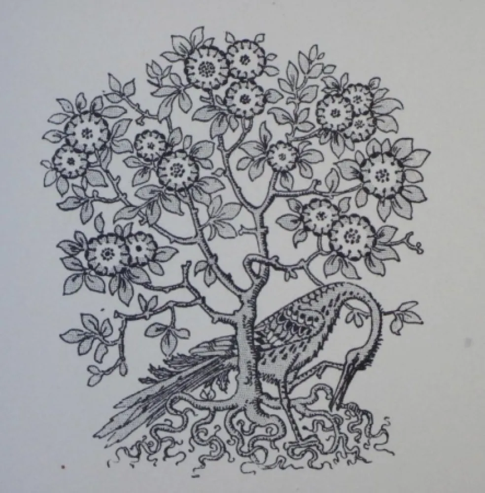 Incisione Su Legno Grasset - Ornements typographiques