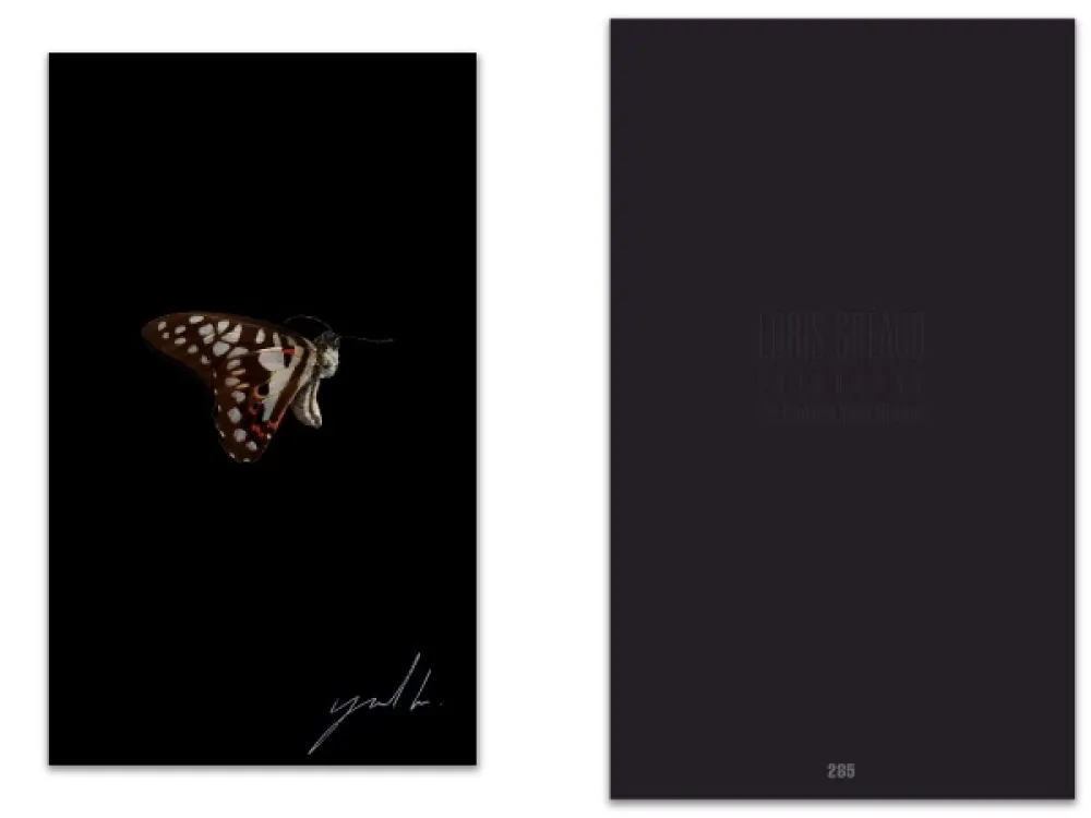 Libro Illustrato Greaud - L'art en écrit