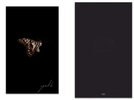 Libro Illustrato Greaud - L'art en écrit