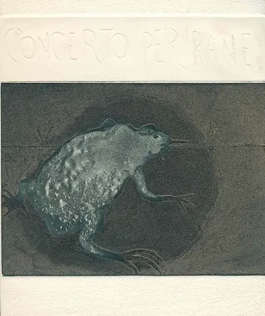 Libro Illustrato Guarienti - Concerto per rane