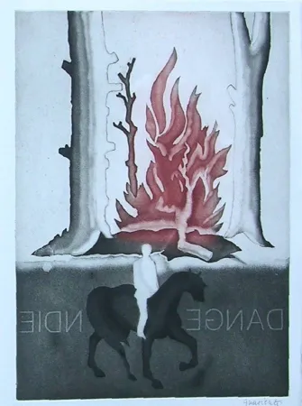 Libro Illustrato Guarienti - Crachefeu