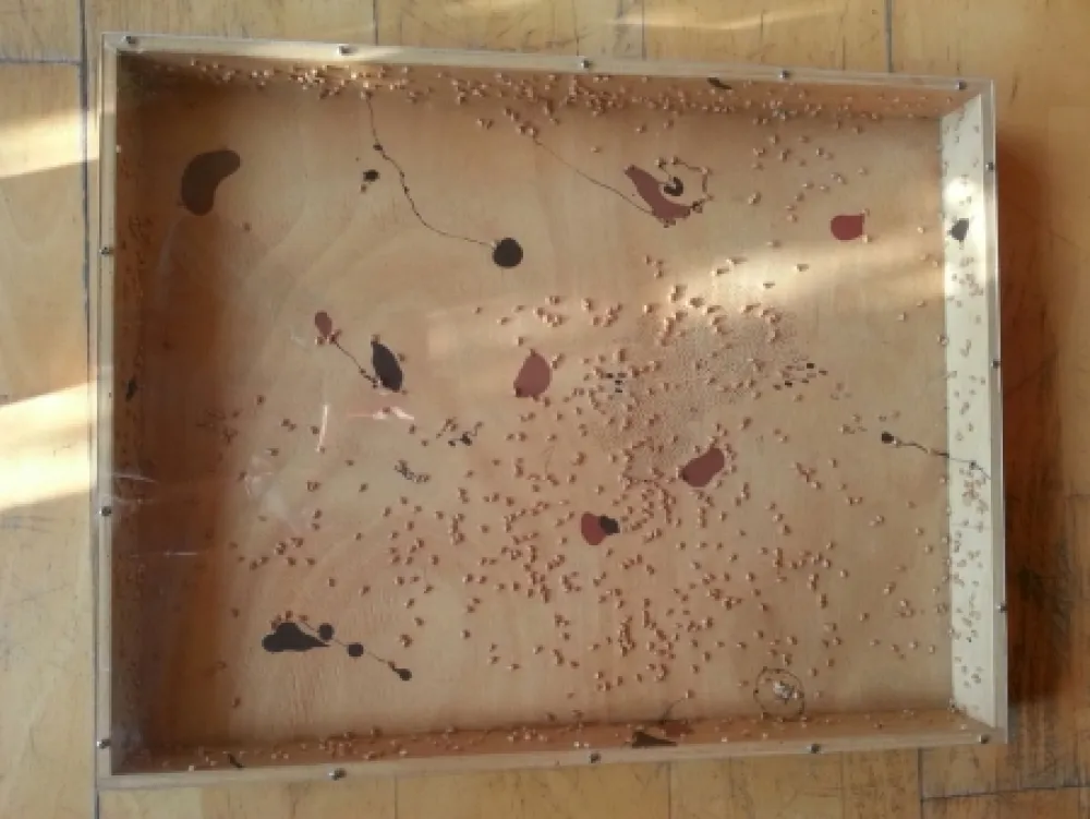 Non Tecnico Guinovart - Blat i coses 8