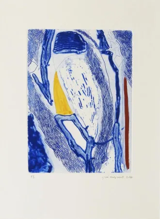 Acquaforte Guinovart - Blau 21