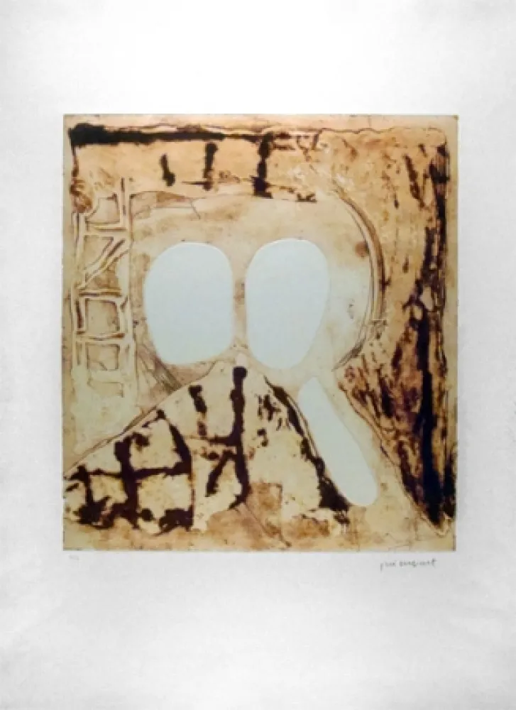 Acquaforte Guinovart - Composición