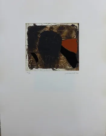 Incisione Guinovart - FONS