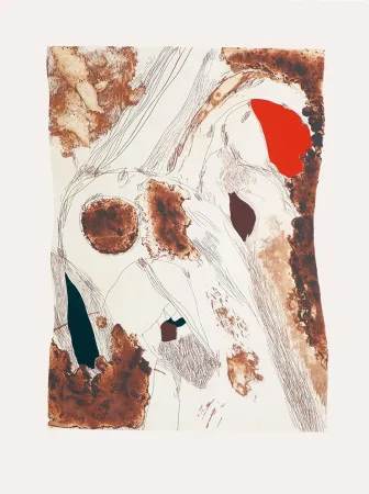 Incisione Guinovart - Fuga y siena