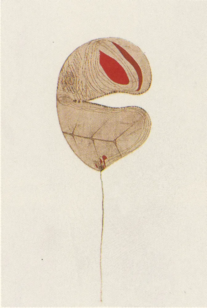 Multiplo Guinovart - Fulles-6