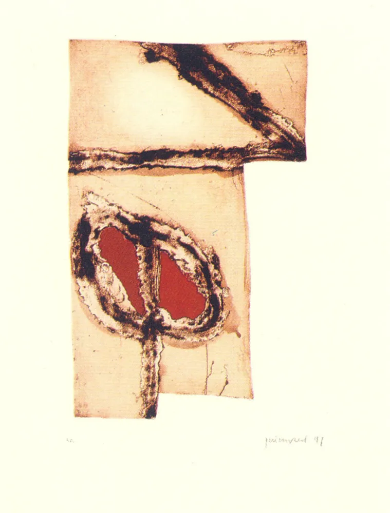 Multiplo Guinovart - Imatges i terra-5