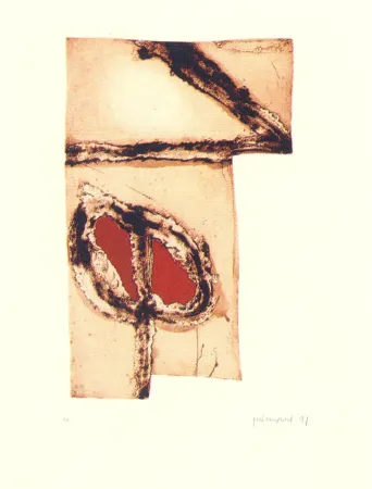 Multiplo Guinovart - Imatges i terra-5