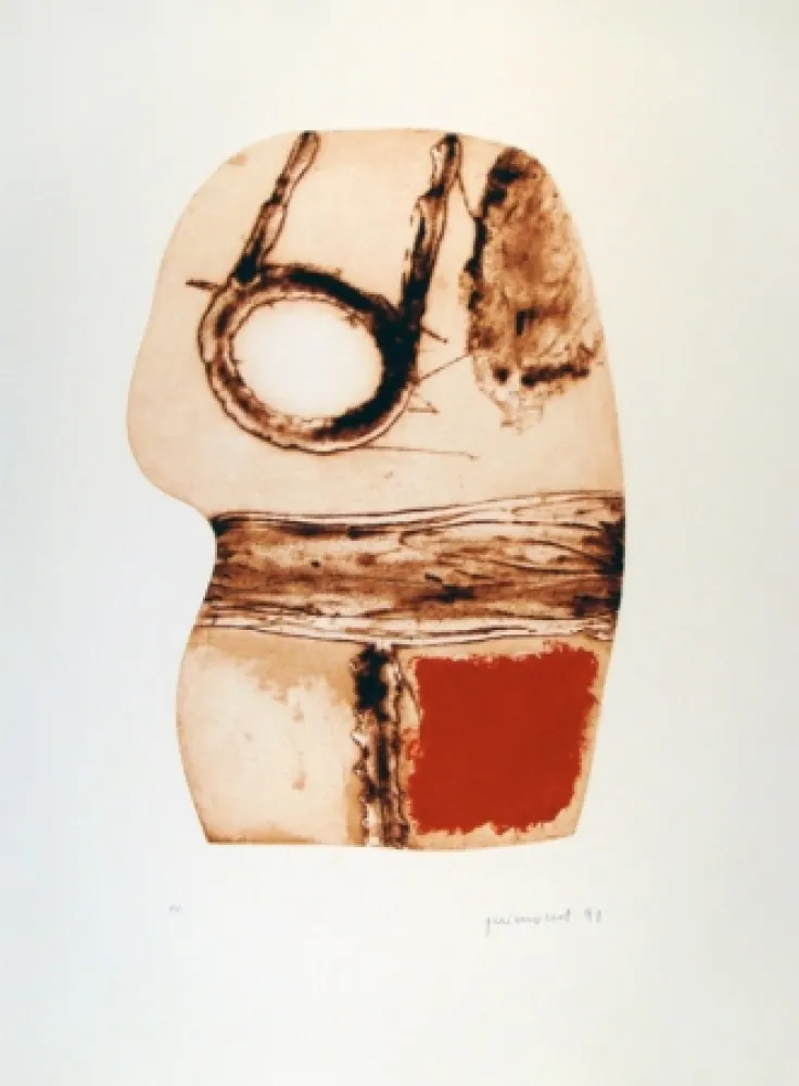 Acquaforte Guinovart - Imatges i Terra II