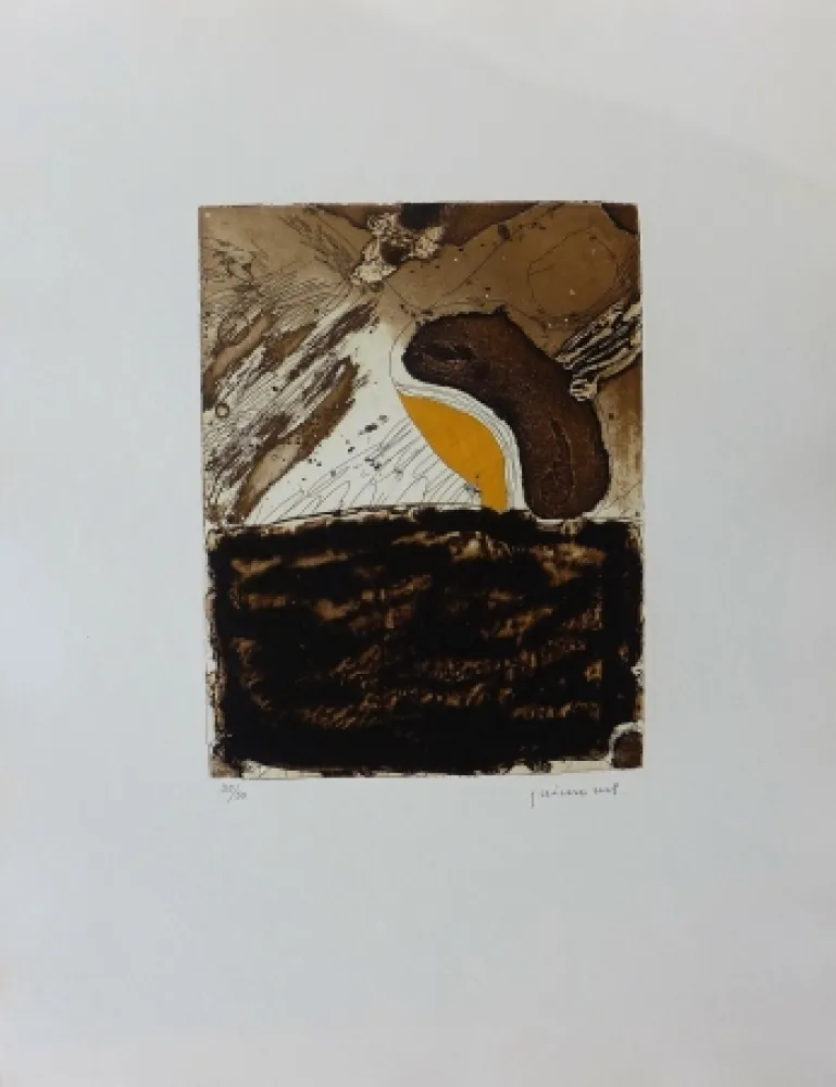 Incisione Guinovart - L ultime ocre