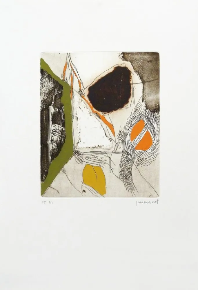 Acquaforte Guinovart - Sèpia 2