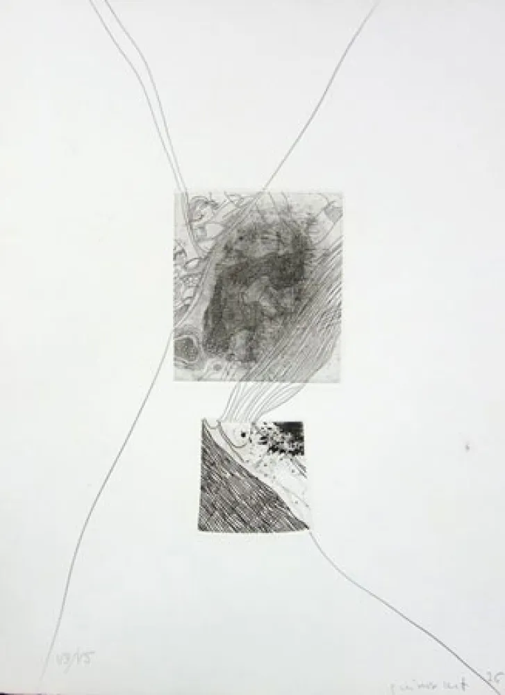 Acquaforte Guinovart - S/T