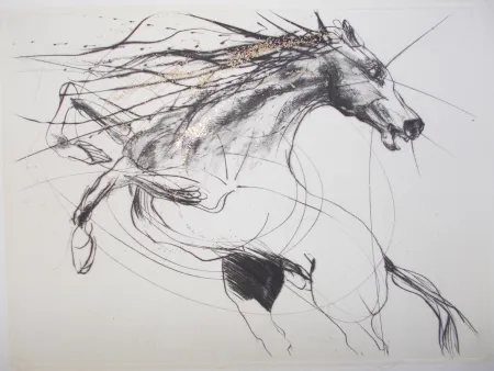 Incisione Guiny - Etalon III