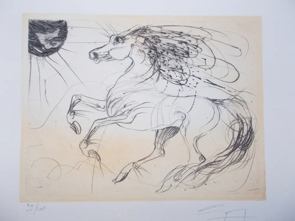 Incisione Guiny - Rocus