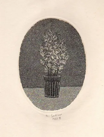 Libro Illustrato Gulino - Canti