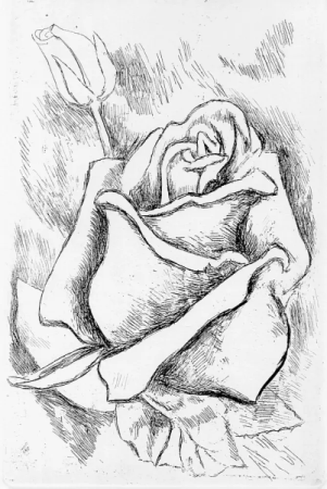 Libro Illustrato Guttuso - Gli anni delle immagini perdute