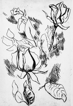 Libro Illustrato Guttuso - Gli anni delle immagini perdute