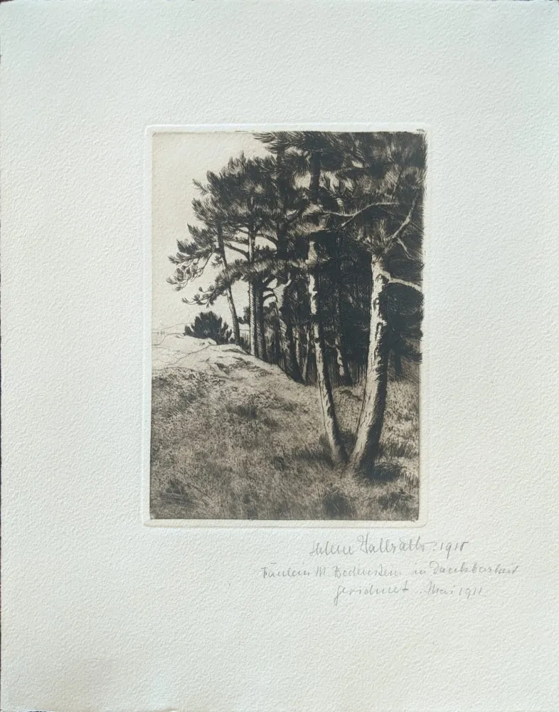 Punta Secca Haasbauer-Wallrath - Untitled (Kiefern am Waldrand)
