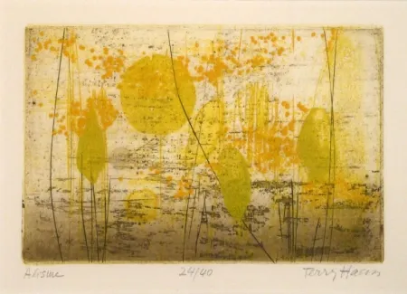 Incisione Haass - Alisme