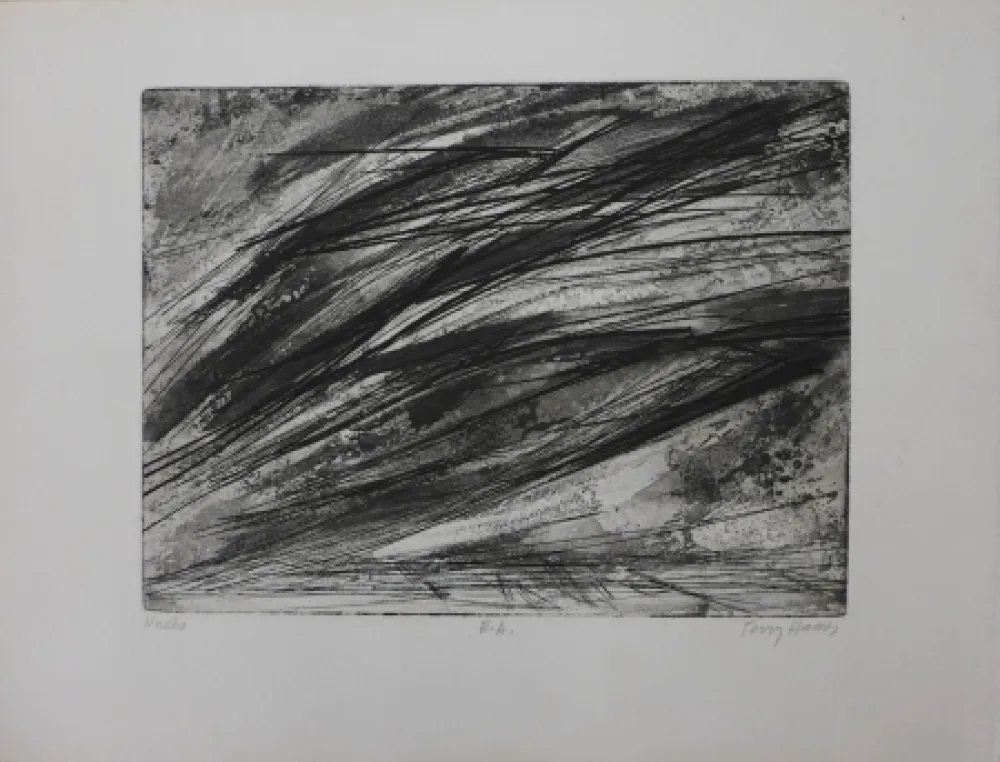 Acquaforte Haass - Composition