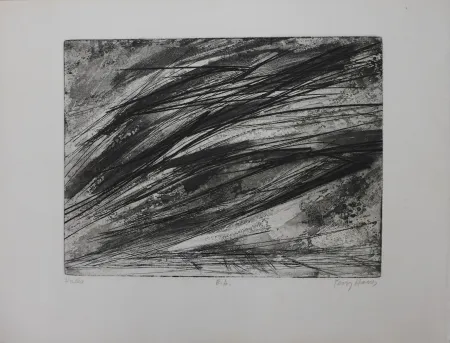 Acquaforte Haass - Composition