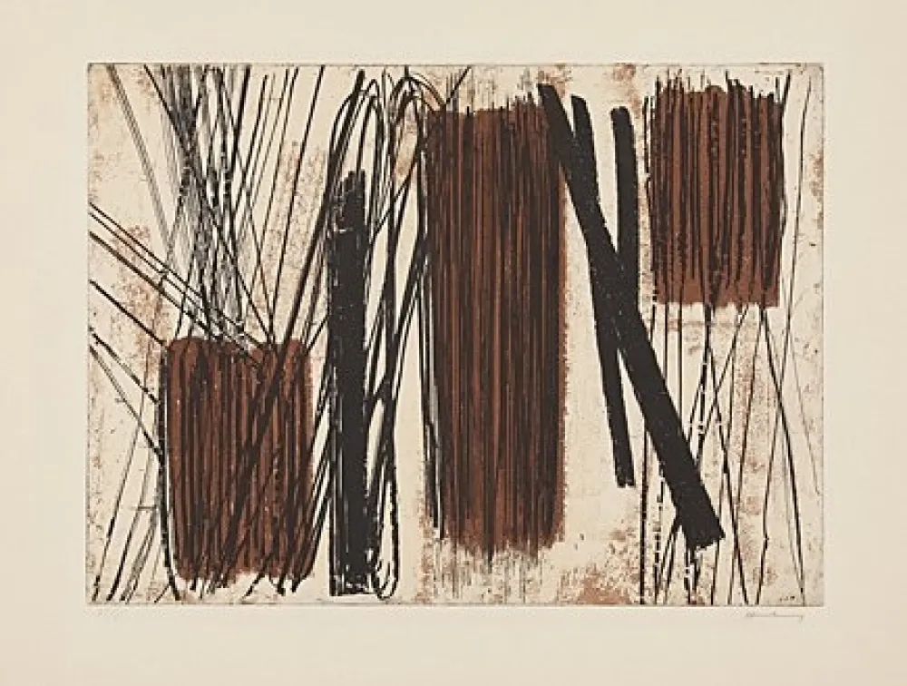 Acquaforte Hartung - 13